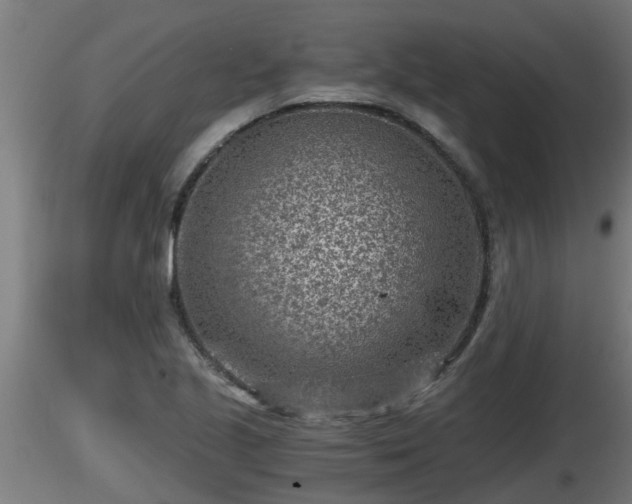 X0000116761221200912241135