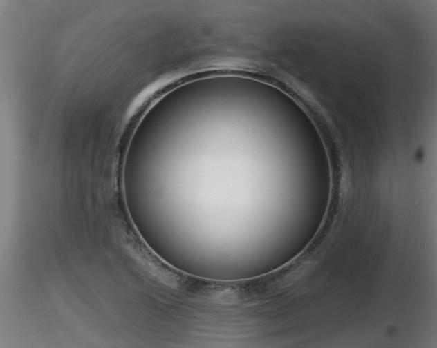 X0000116761222200912241135