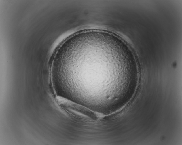 X0000116761223200912241135