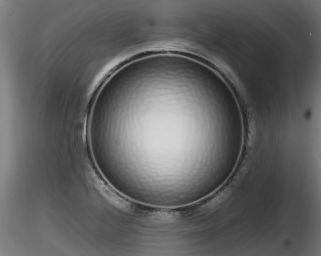 X0000116761224200912241135