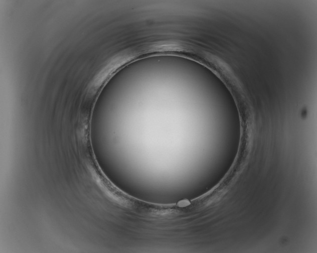 X0000116761225200912241135