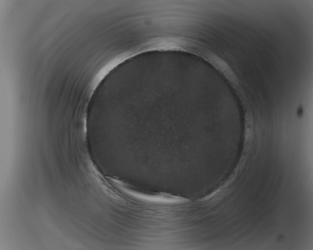 X0000116761226200912241135
