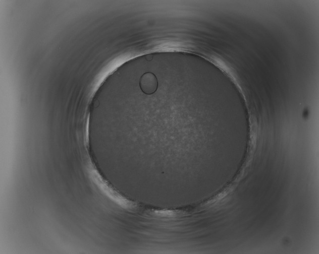 X0000116761227200912241135