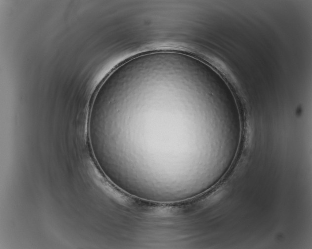 X0000116761228200912241135