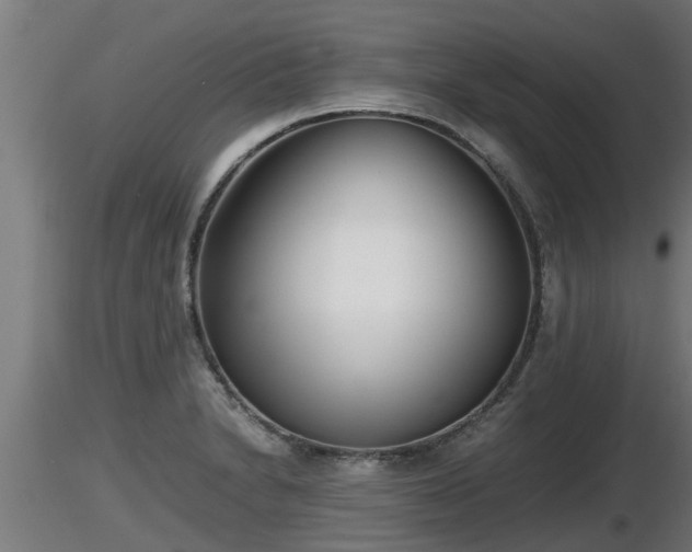 X0000116761230200912241135