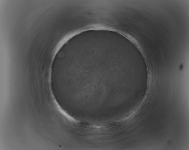 X0000116761231200912241135