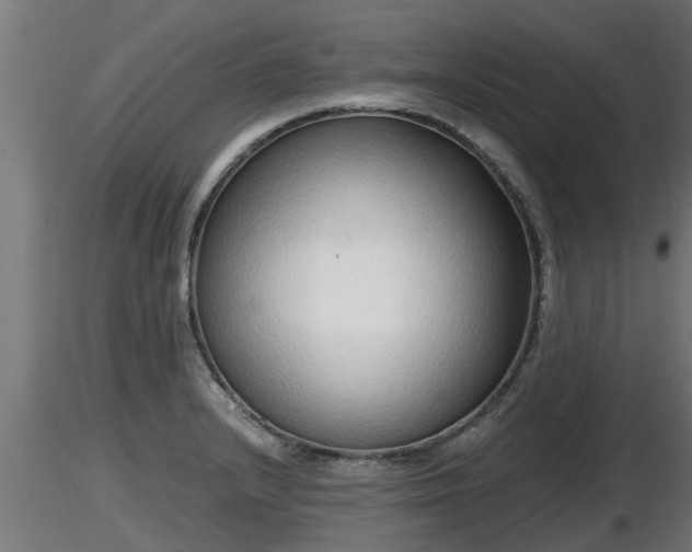 X0000116761232200912241136