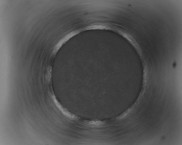 X0000116761233200912241136