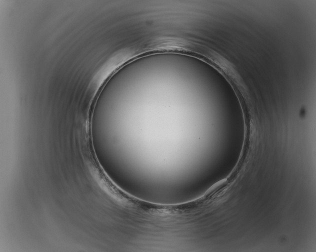 X0000116761234200912241136