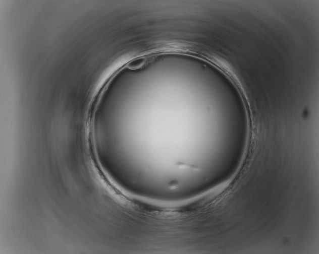 X0000116761235200912241136