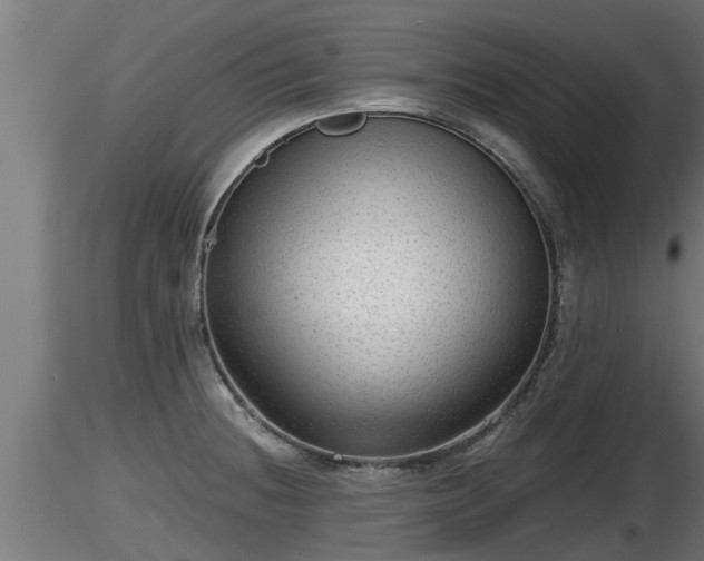 X0000116761236200912241136