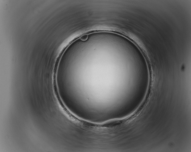 X0000116761237200912241136