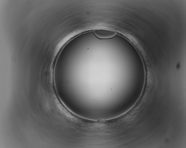 X0000116761238200912241136