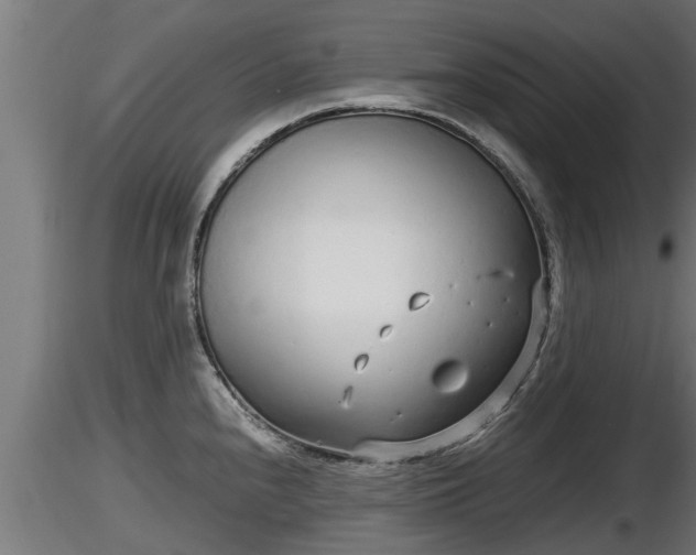 X0000116761240200912241136