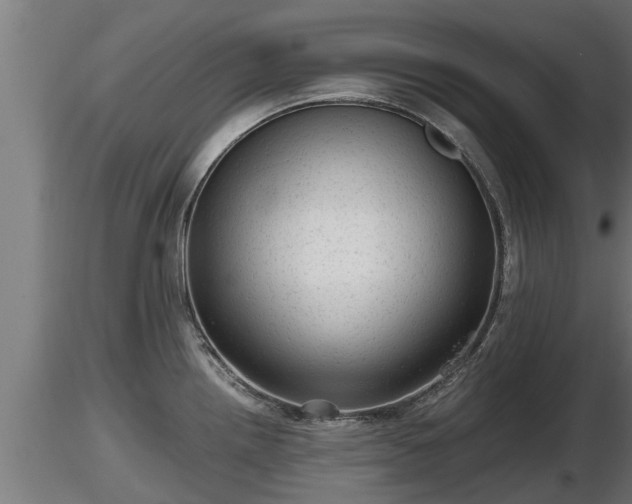 X0000116761242200912241136