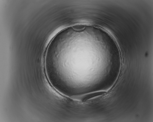 X0000116761243200912241136