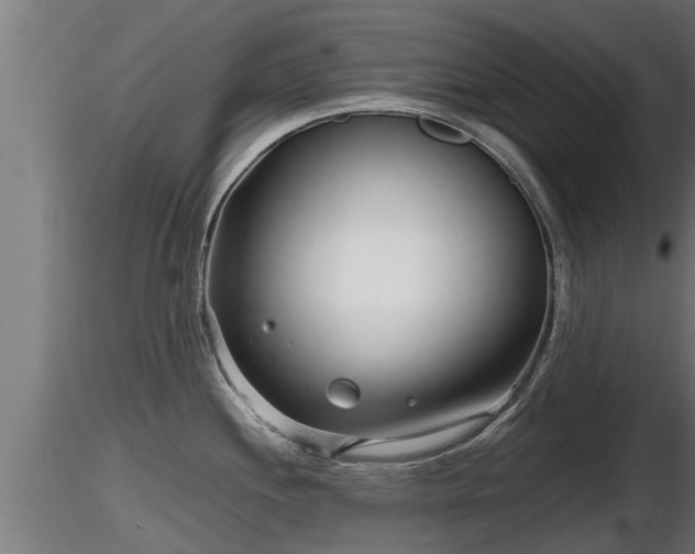 X0000116761244200912241136
