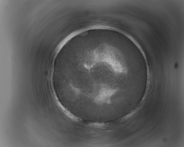 X0000116761245200912241136