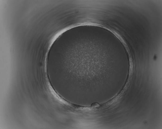 X0000116761246200912241136