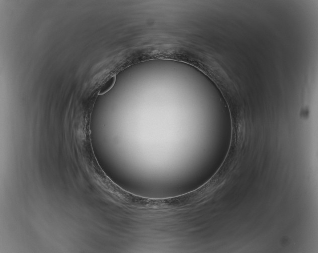 X0000116761250200912241135