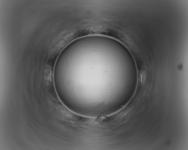 X0000116761251200912241135
