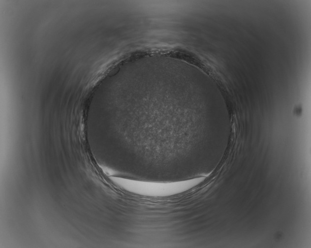 X0000116761252200912241135