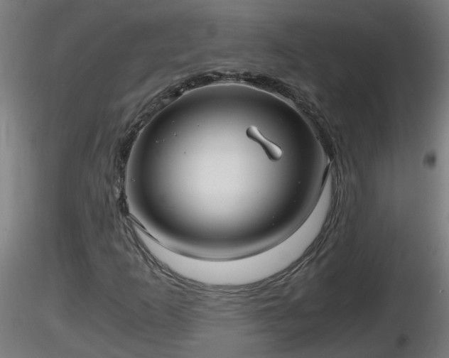 X0000116761253200912241135
