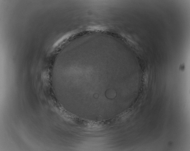 X0000116761254200912241135