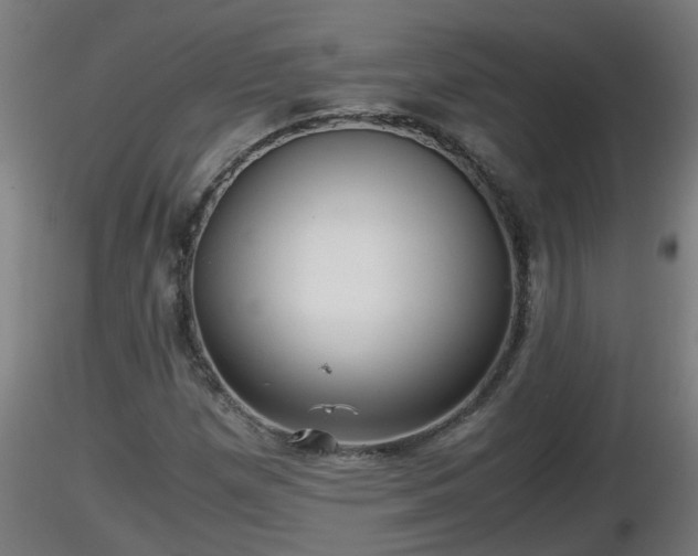 X0000116761257200912241135