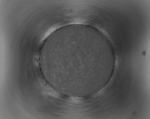 X0000116761258200912241135