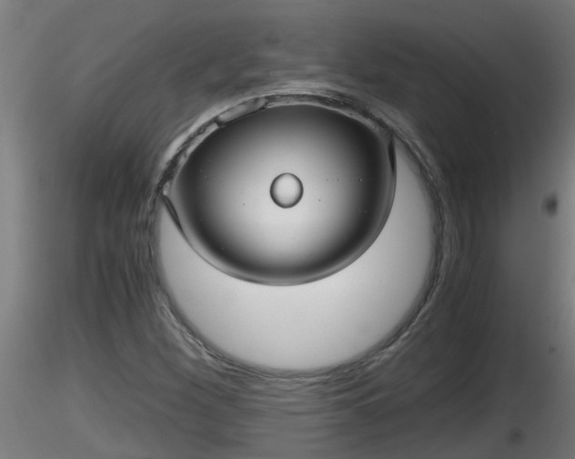 X0000116761260200912241135