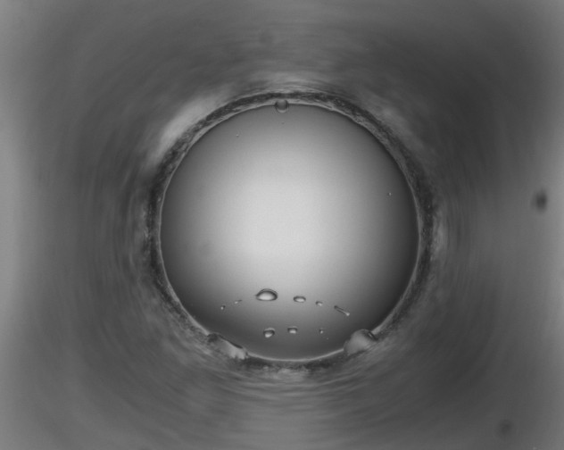 X0000116761261200912241135