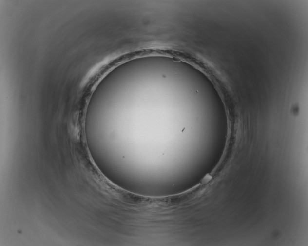 X0000116761262200912241135