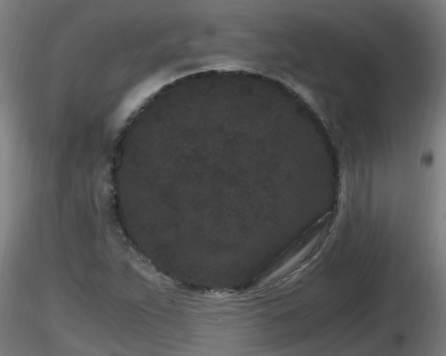 X0000116761263200912241135