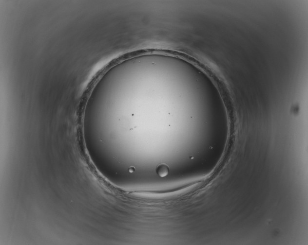 X0000116761264200912241135