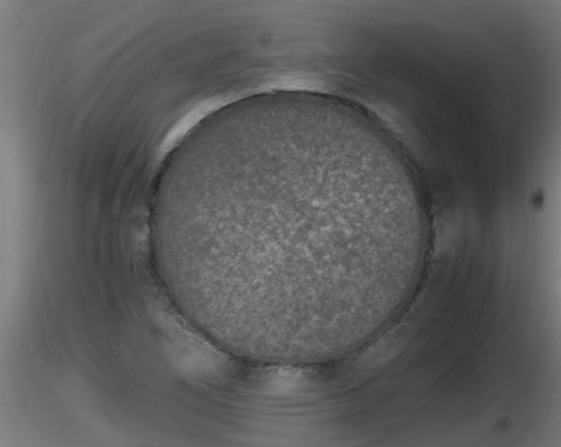 X0000116761266200912241135