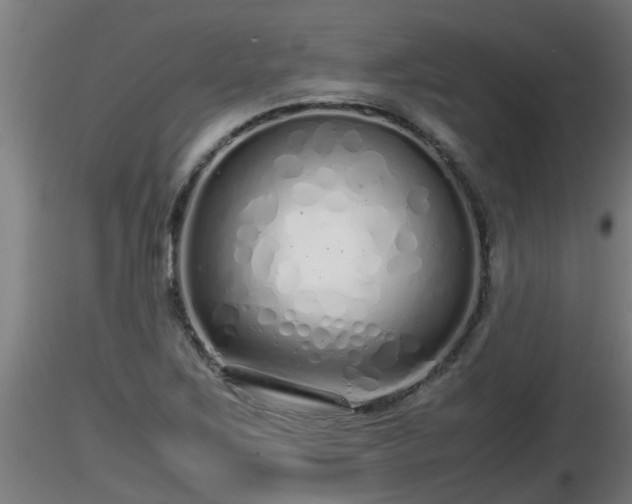 X0000116761267200912241135