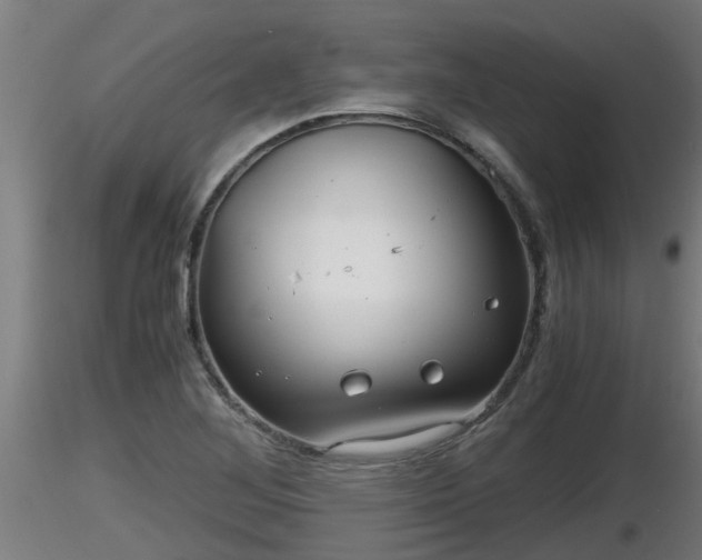 X0000116761268200912241135