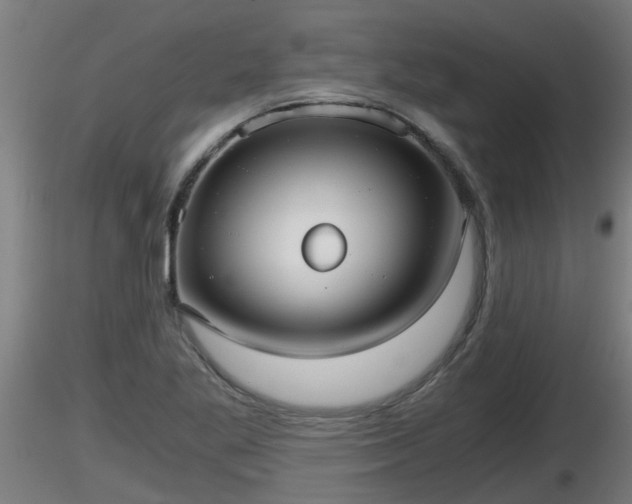X0000116761269200912241135