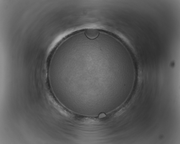 X0000116761270200912241135