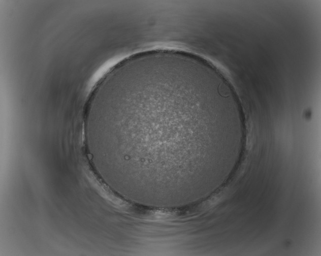 X0000116761271200912241135