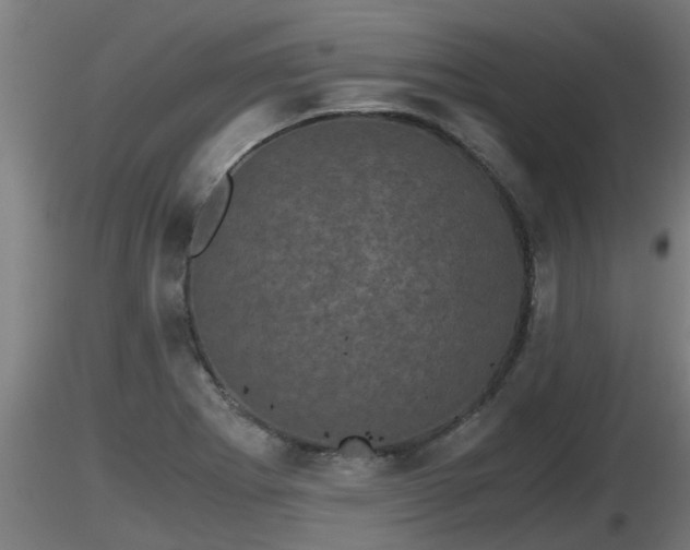 X0000116761273200912241135