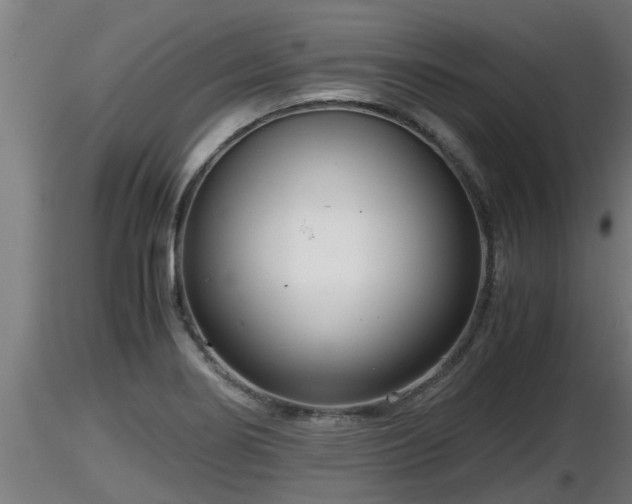 X0000116761274200912241135