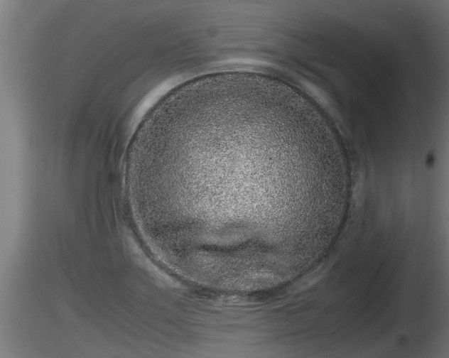 X0000116761275200912241135
