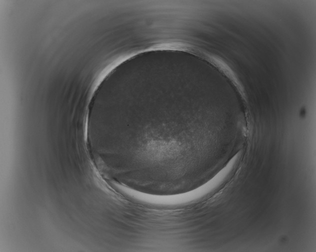 X0000116761276200912241135