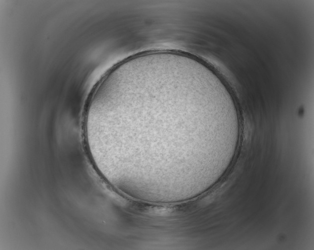 X0000116761278200912241135