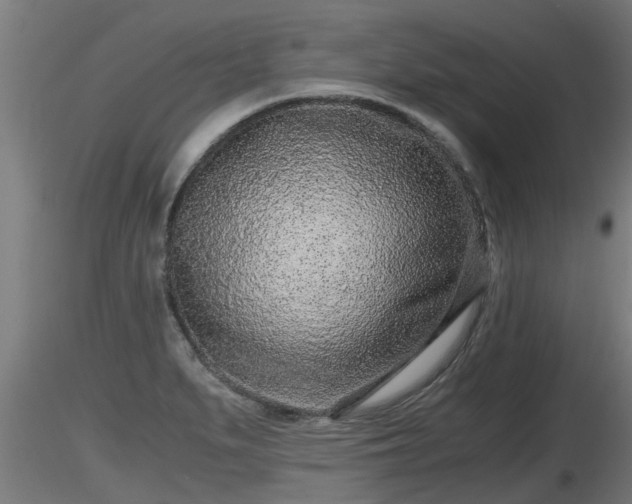 X0000116761279200912241135