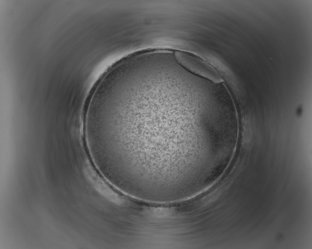 X0000116761280200912241135