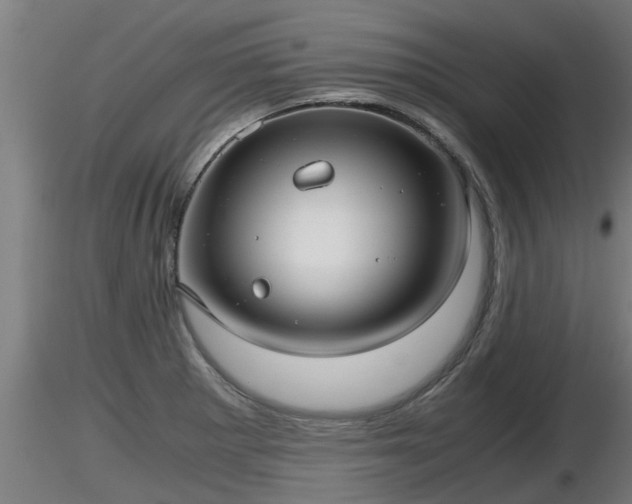 X0000116761281200912241135