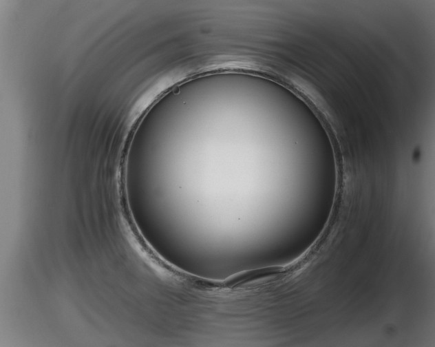 X0000116761282200912241135